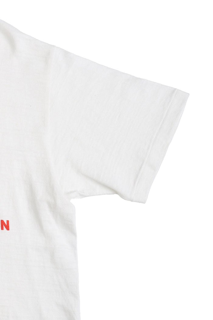 4601 BATTERY - OFF WHITE