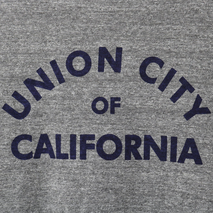 BR-26001 "TSURIAMI" CREW NECK S/S PRINT T-SHIRT (CALIF) - GRAY