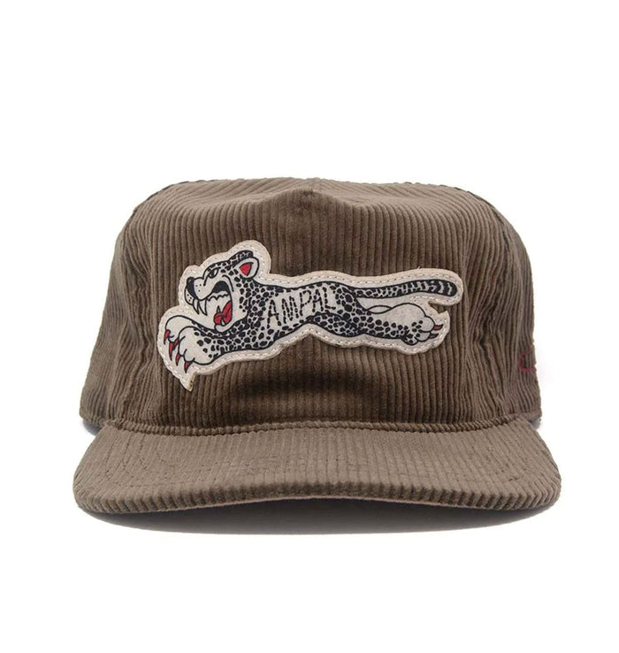 CHEETAH CORD Strapback - TAN