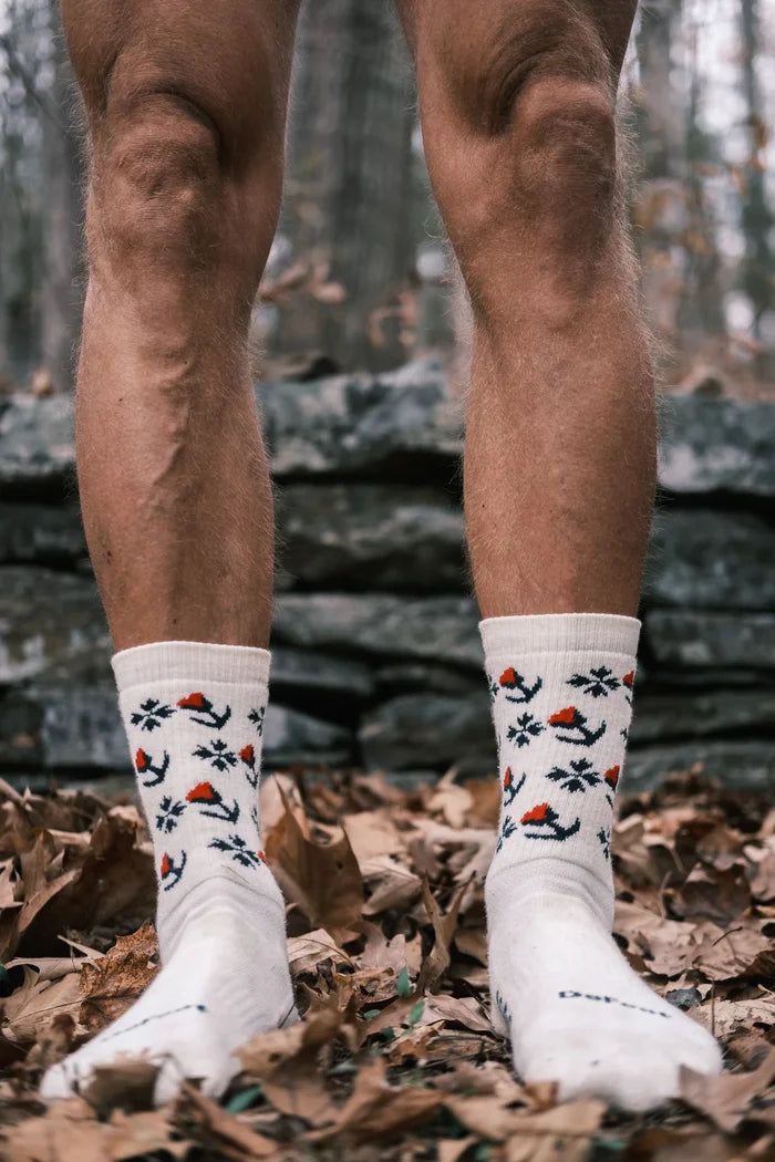 RON's BIKES LaRon wool socks